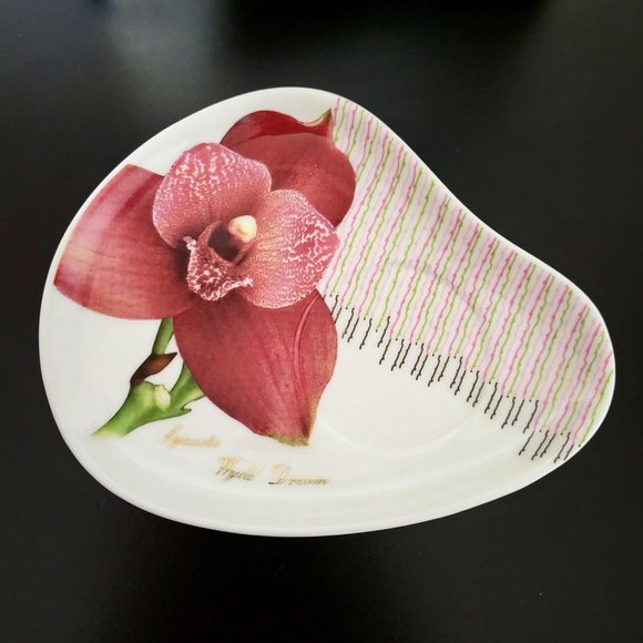 Royal Elfreda Flower Cup & Saucer - Lycaste Wyld Dream - Picture 6 of 13